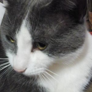 Meet your Posher, Wanda